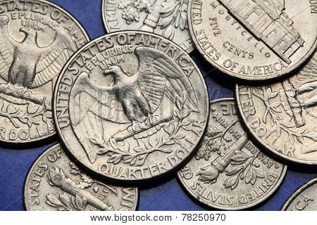 Coins of USA. Bald eagle (Haliaeetus leucocephalus) depicted on the US quarter coin.