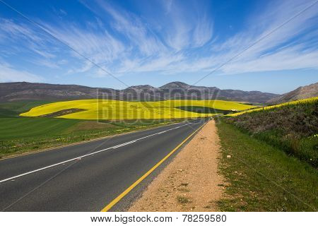South African Landscape