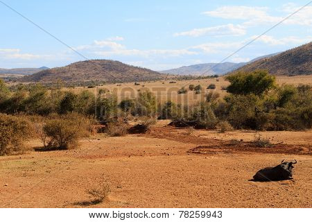 Pilanesberg National Park