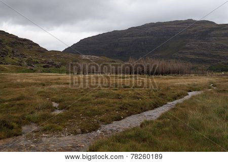 Scotland Colours