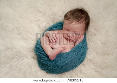 Portrait Of A Curled Up, Sleeping Newborn Baby Boy