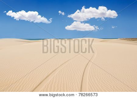 Wheel Print In Sand Dunes Of Santa Monica Beach - Praia De Santa Monica In Boavista - Cape Verde - C