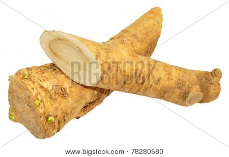 Horseradish Root