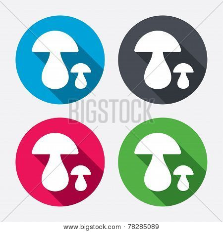Mushroom sign icon. Boletus mushroom symbol.