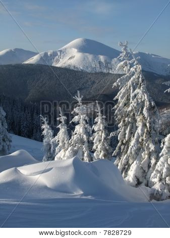 Winter in Bergen