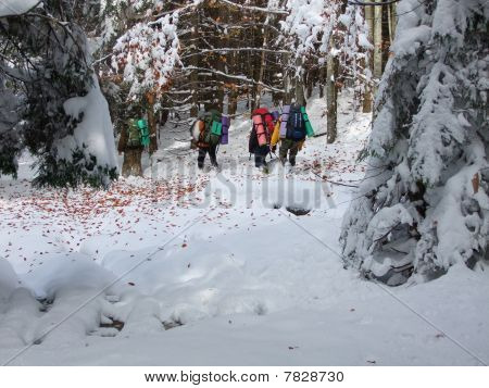Touristen im Winter Holz.