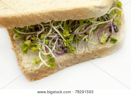 Bread With Radish Sprouts
