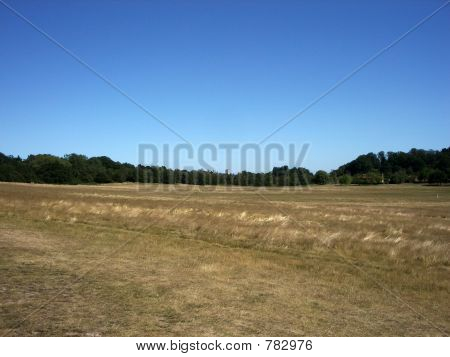 Hainault Wald 2