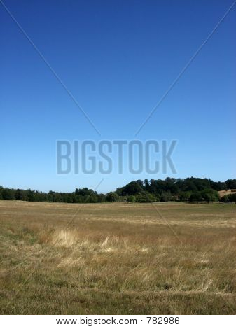 Hainault Wald 4