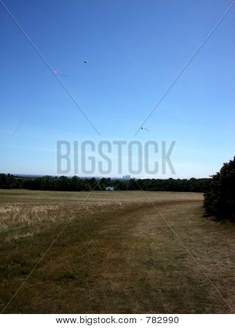 Hainault Wald 5