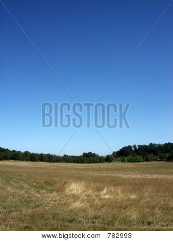 Hainault Wald 6