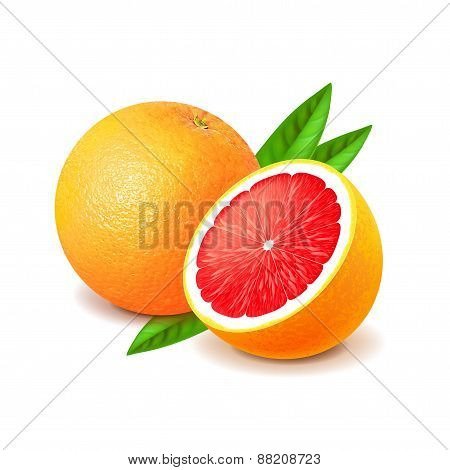 Grapefruit And Slice Isolated On White Vector