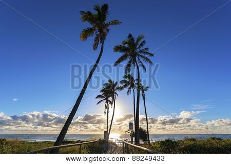 Path To Gold Coast Beach