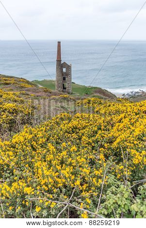 Rinsey head