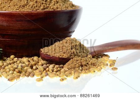 Coriander seeds, Fresh Coriander and Powdered coriander