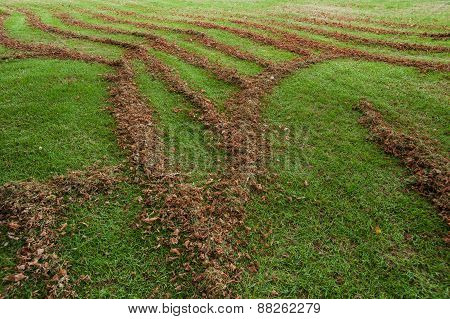 Gardening A Go Go