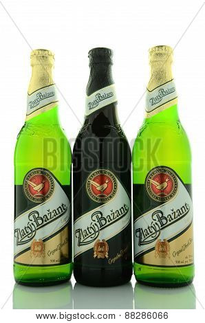 Zlaty Bazant beer isolated on white background