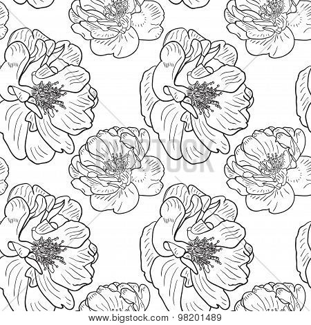 Briar rose sketch seamless