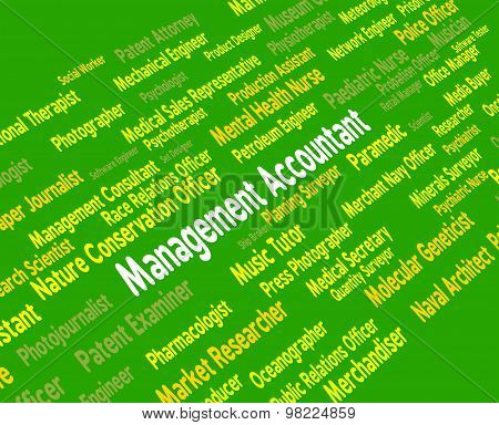 Management Accountant Shows Balancing The Books And Accountants
