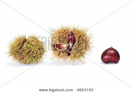 Chestnuts