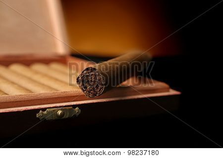 Cigars in box on table, closeup