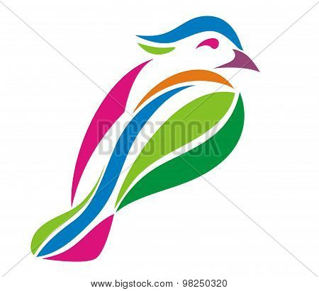 bird colorfull