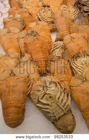 Balmain Bugs
