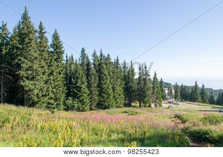 Mountain