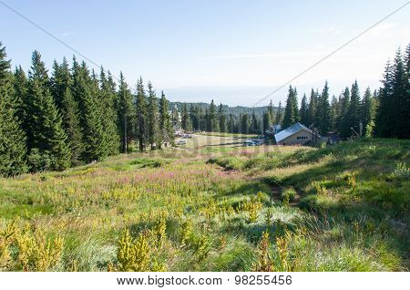 Mountain
