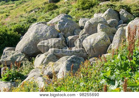 Mountain