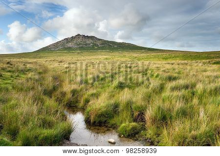 Rough Tor In Cornwall