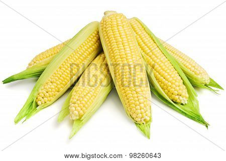 Corn