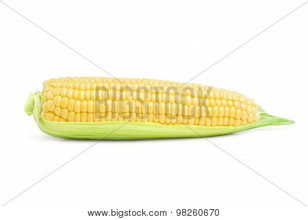 Corn