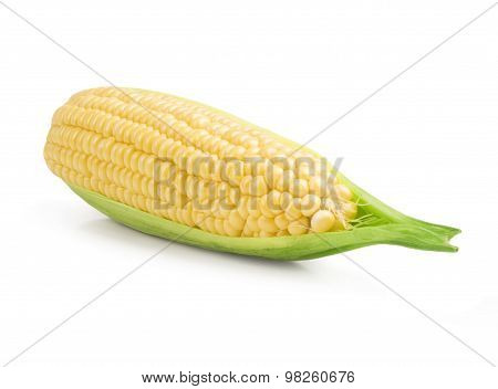 Corn