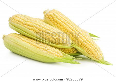 Corn