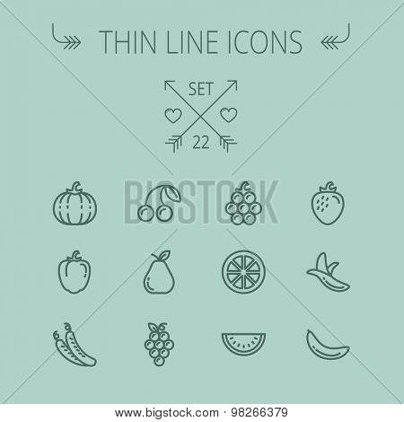 Food and drink thin line icon set for web and mobile. Set includes- squash, grapes, banana, pineapple, greenbellpepper, melon, icons. Modern minimalistic flat design. Vector dark grey icon on grey