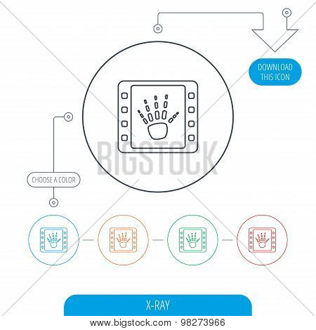 Hand X-ray icon. Human skeleton sign.