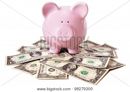 Piggy Bank With Dollars