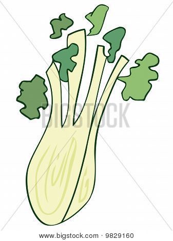 Fennel.