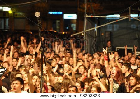 Headbanging Crowd At A Rock Concert