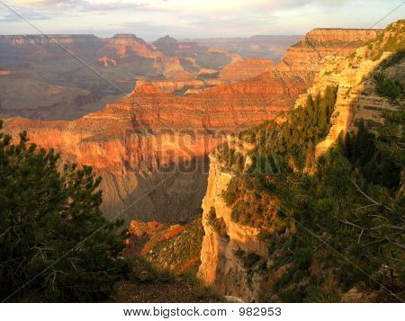 Grand Canyon Glowing Vista