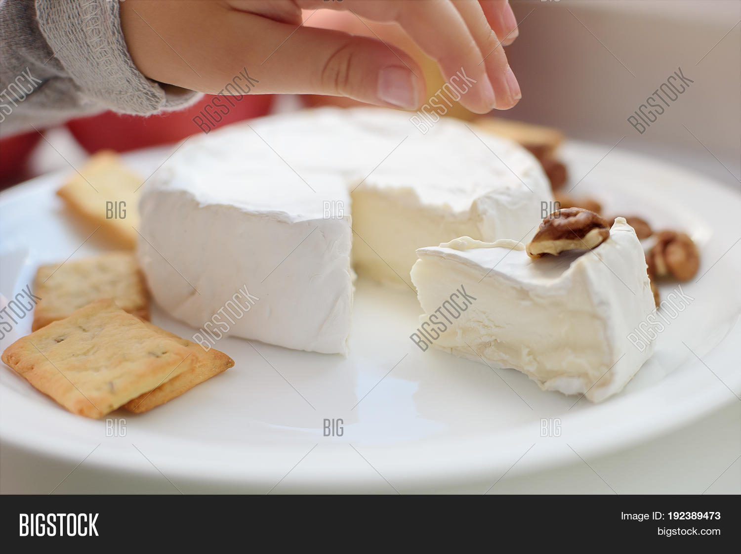 Cheese White Mold. Image & Photo (Free Trial) Bigstock