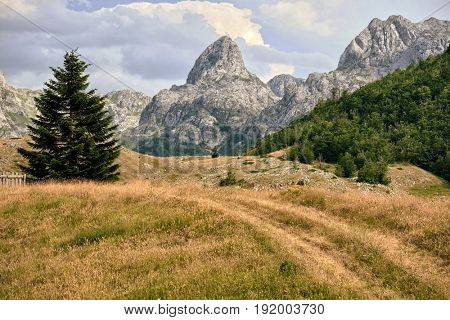 peak Pasjak Mount in Montenegro