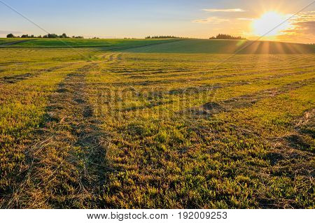 Sunset At Cultivated Land In The Countryside On A Summer.