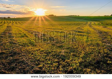 Sunrise At Cultivated Land In The Countryside On A Summer.