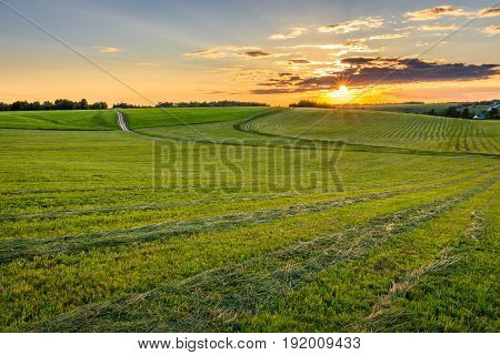 Sunset At Cultivated Land In The Countryside On A Summer.