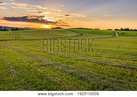 Sunrise At Cultivated Land In The Countryside On A Summer.