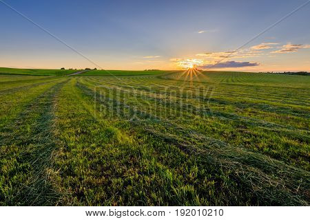 Sunset At Cultivated Land In The Countryside On A Summer.