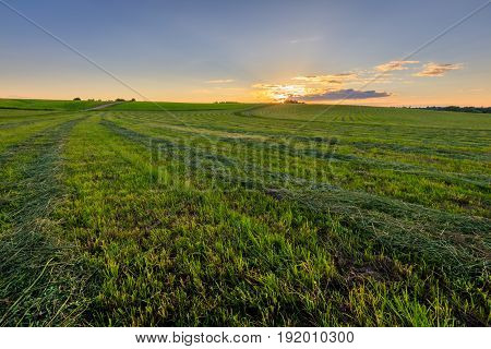 Sunset At Cultivated Land In The Countryside On A Summer.