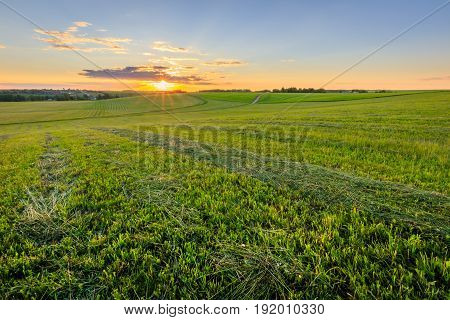 Sunrise At Cultivated Land In The Countryside On A Summer.